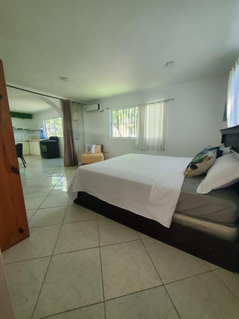 Hummingbird Cabarete Aparthotel Buitenkant foto
