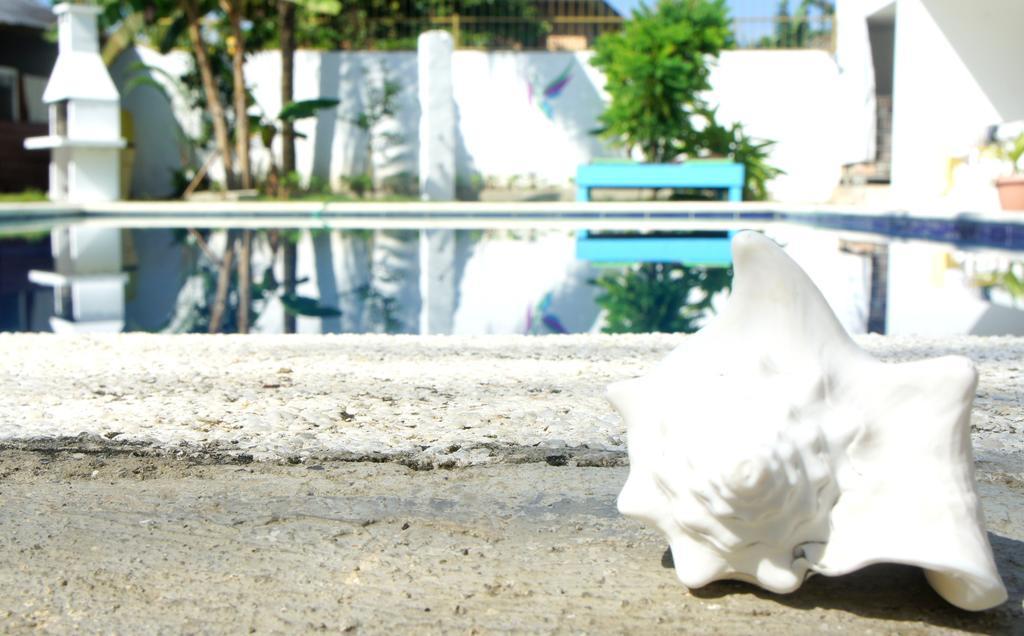 Hummingbird Cabarete Aparthotel Buitenkant foto