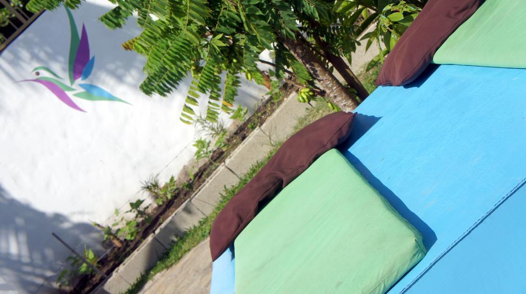 Hummingbird Cabarete Aparthotel Buitenkant foto